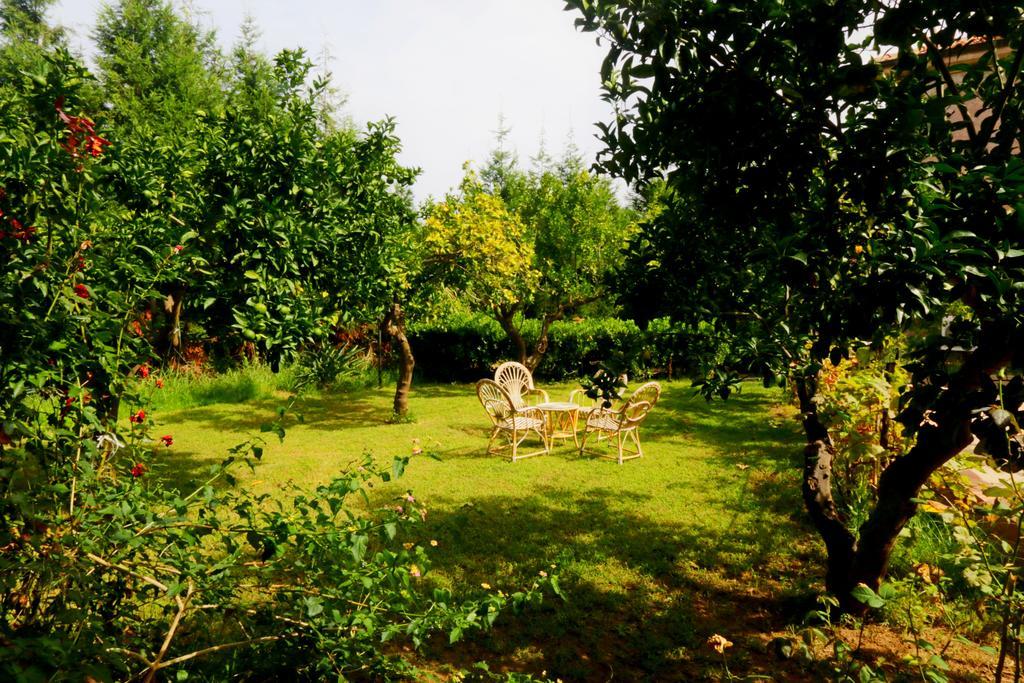 Residenza La Vigna Apart otel Parghelia Dış mekan fotoğraf