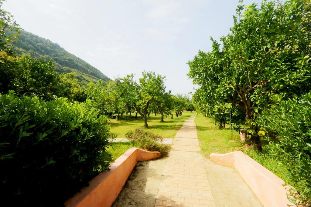 Residenza La Vigna Apart otel Parghelia Dış mekan fotoğraf