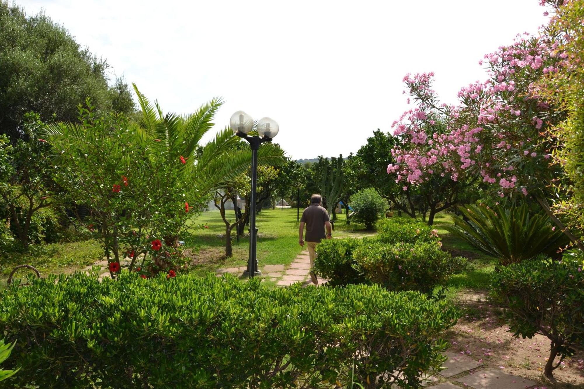 Residenza La Vigna Apart otel Parghelia Dış mekan fotoğraf