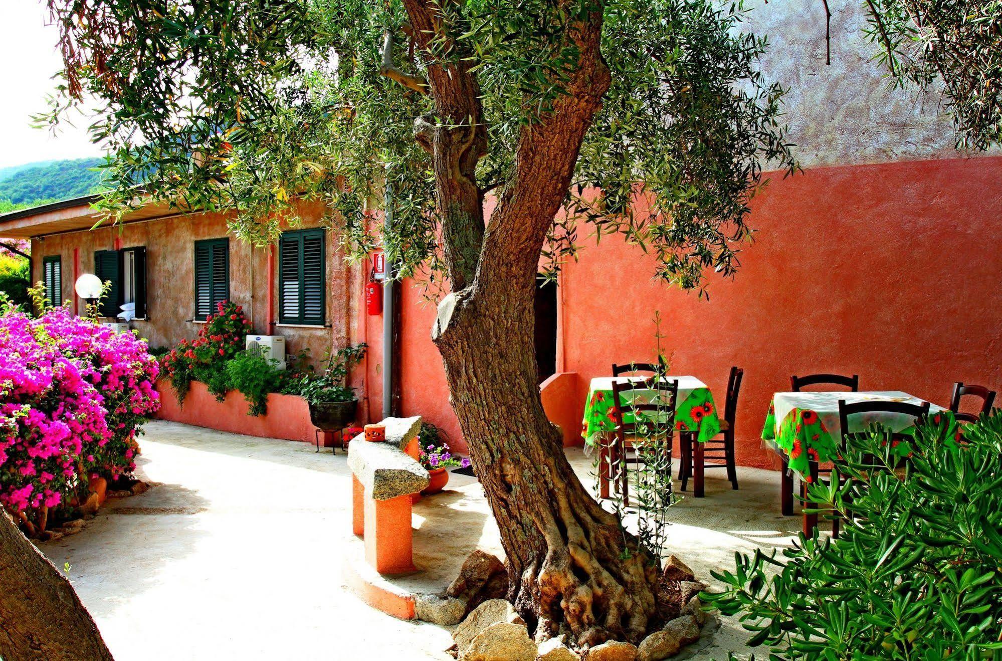 Residenza La Vigna Apart otel Parghelia Dış mekan fotoğraf